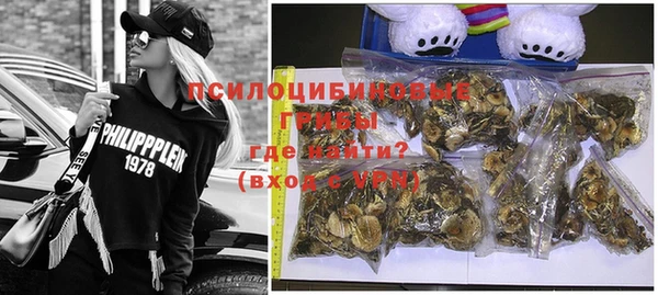 метадон Тавда